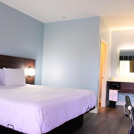 Florence Inn And Suites Ngoại thất bức ảnh